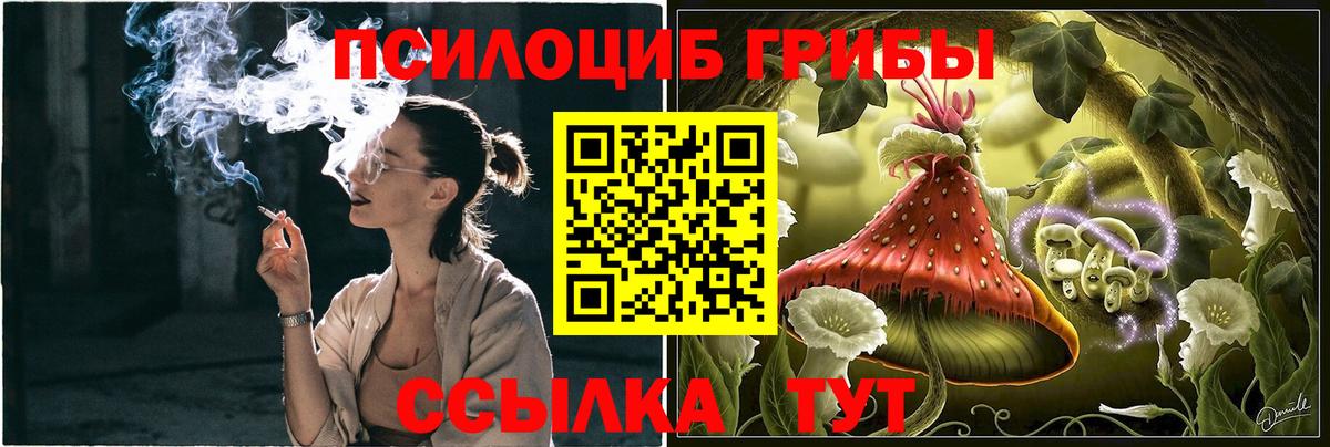 Галлюциногенные грибы Psilocybine cubensis Унеча