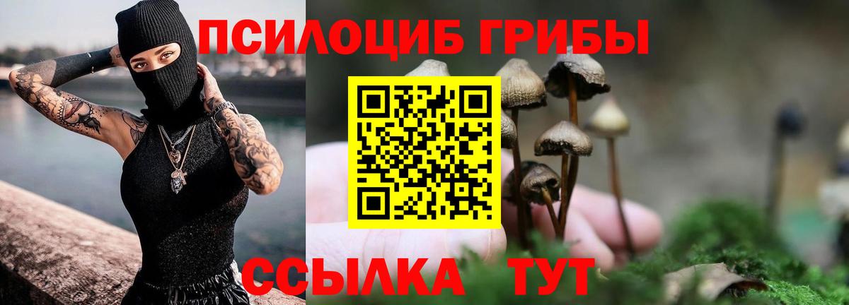 Унеча  цена наркотик  Вход с VPN  Псилоцибиновые грибы GOLDEN TEACHER 
